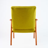 Fauteuil Punch Lime